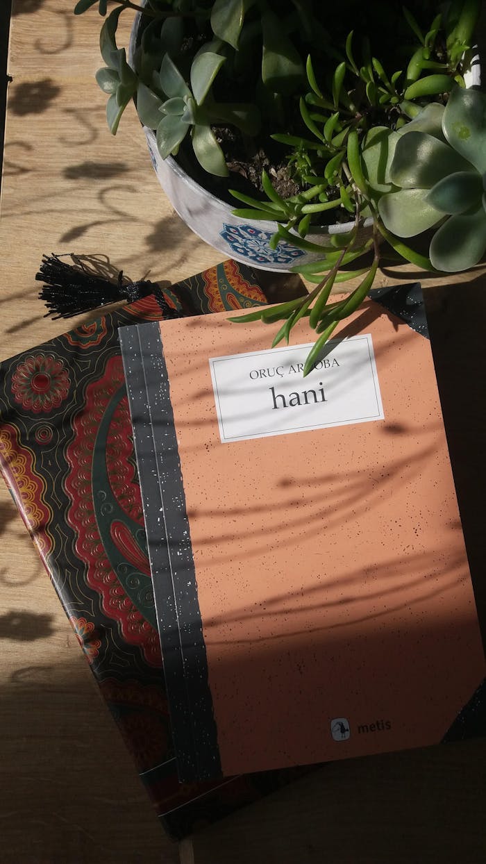 Stack of books beside a potted succulent on a wooden table under soft sunlight.